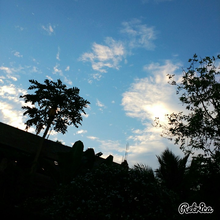 Evening Sky