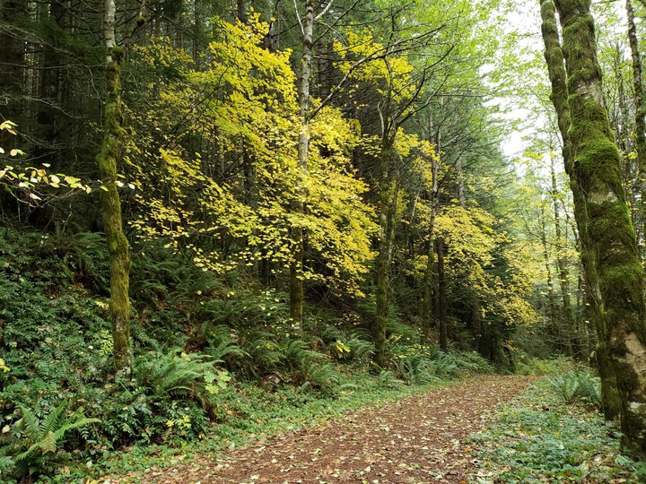 Mt Hamilton in the Fall