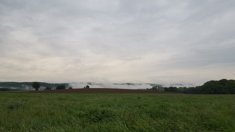 Nebel im Tal