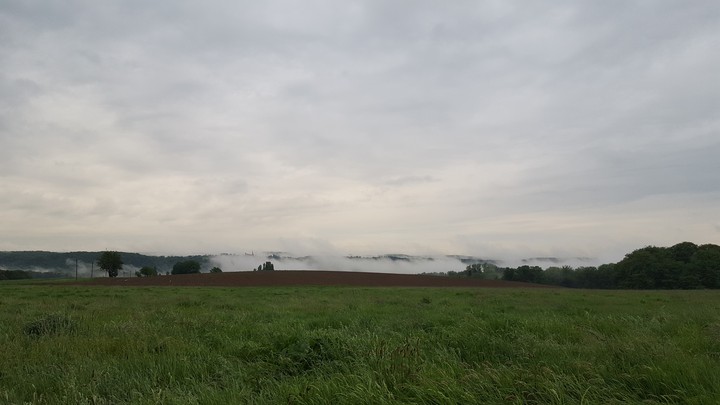 Nebel im Tal