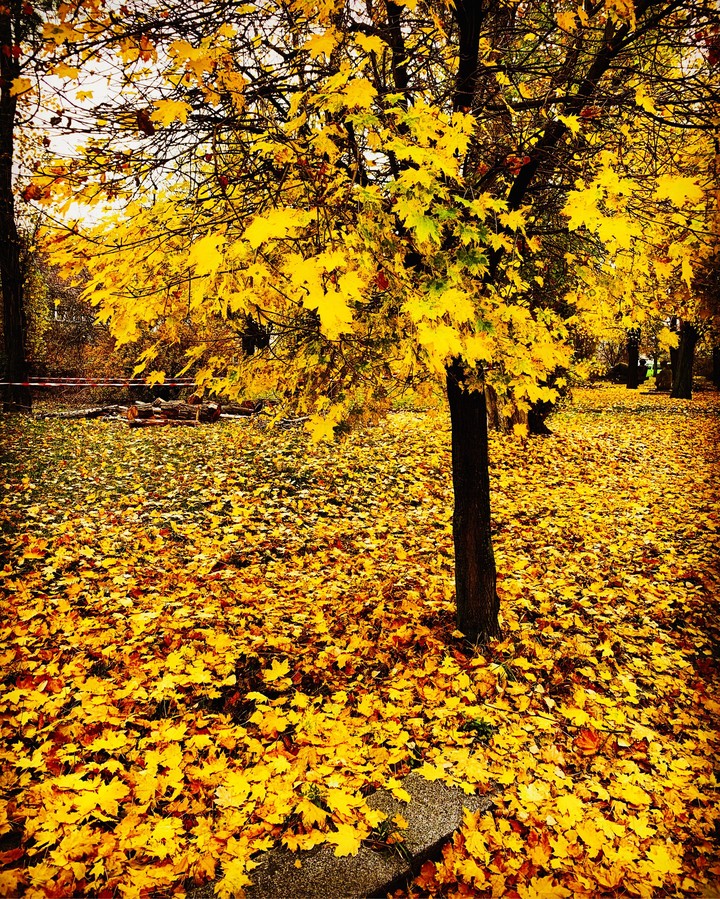 autunno 