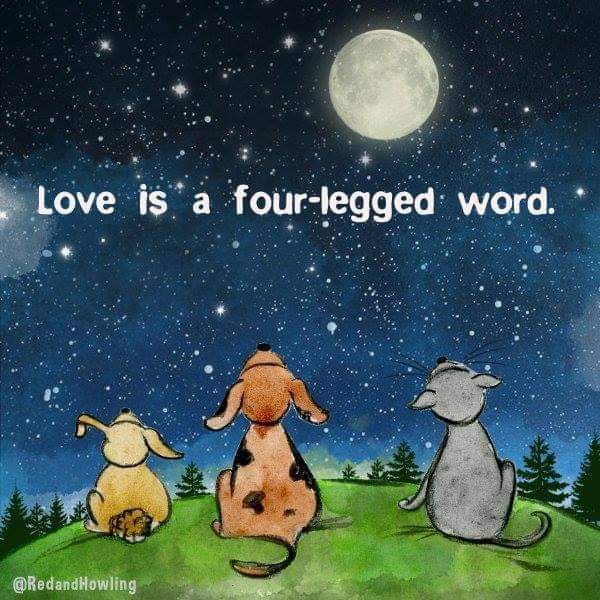 love