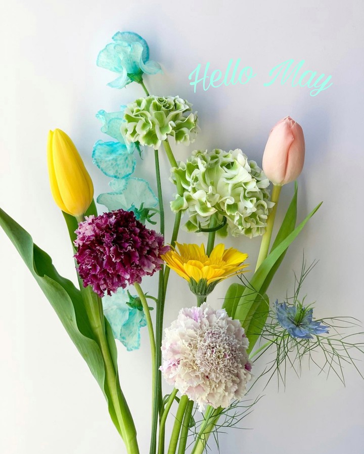 Hello May