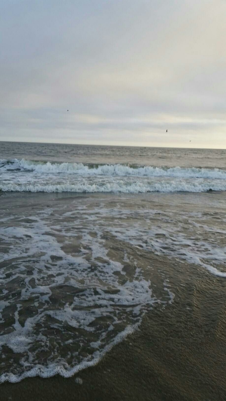 Ocean Waves
