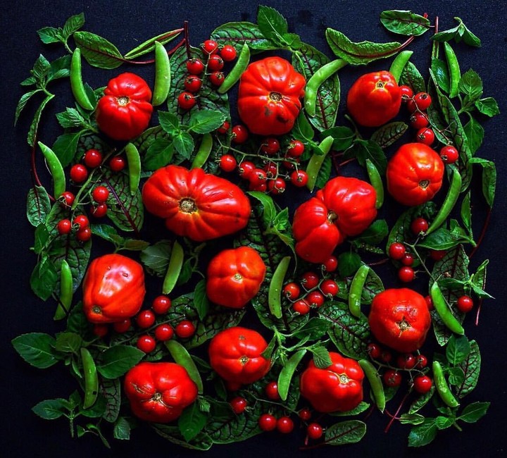 tomato 