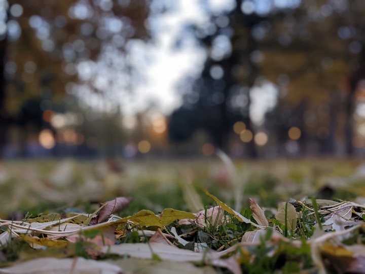 autumn park
