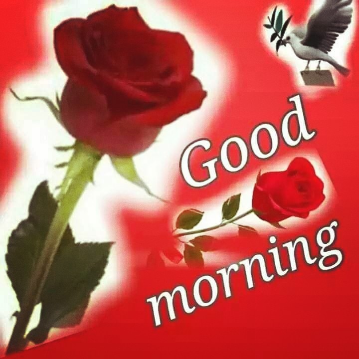 Ram Ji