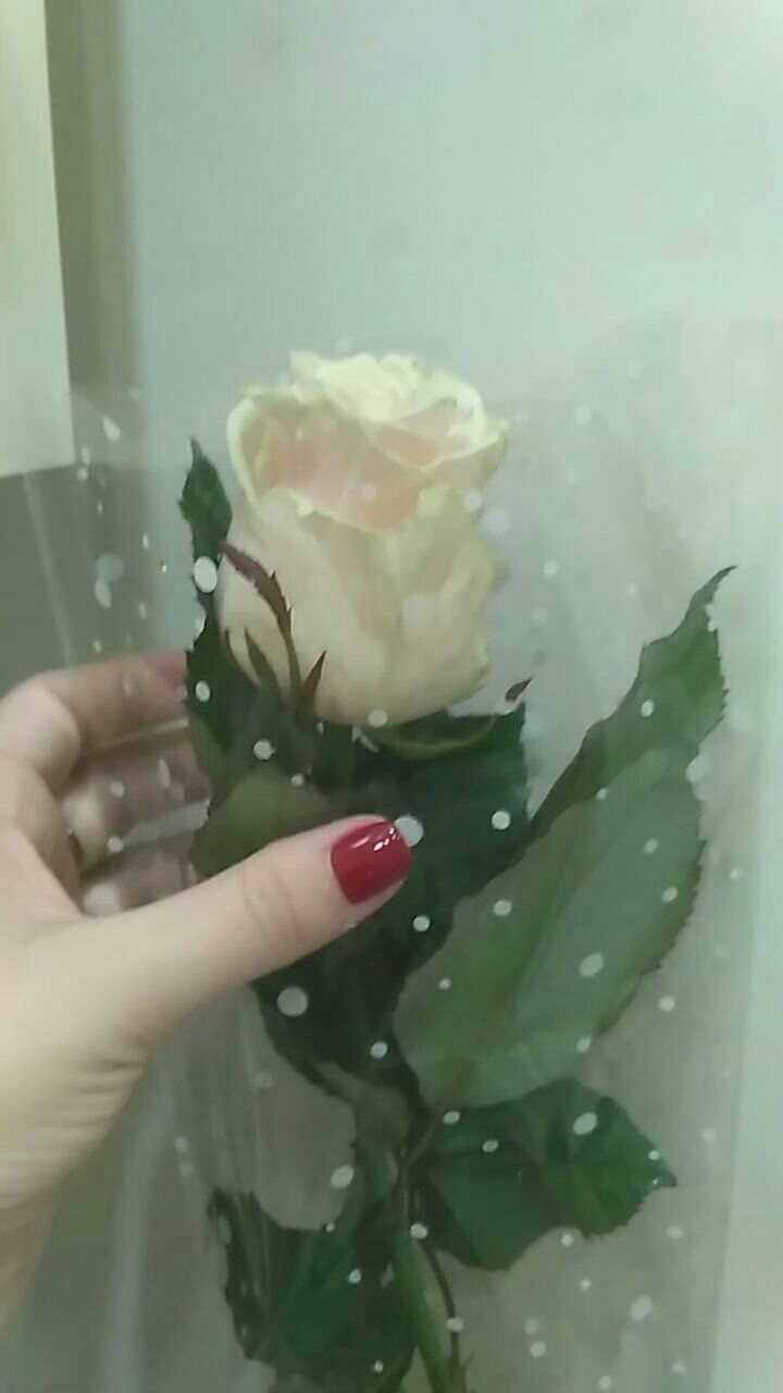 rose