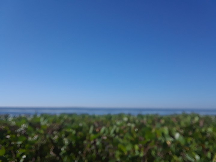 Dim Ocean