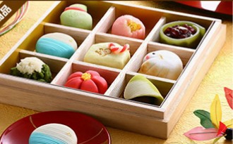 traditional confectionery wagashi 和菓子