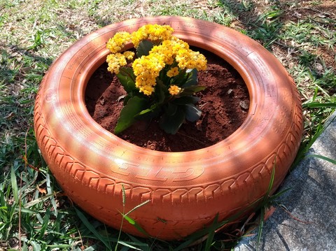 Canteiro ecológicamente correto