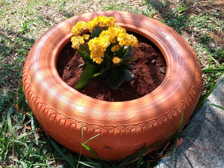 Canteiro ecológicamente correto