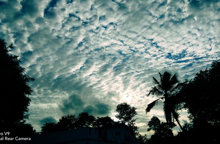Sky