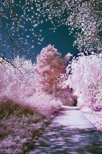 Hermoso