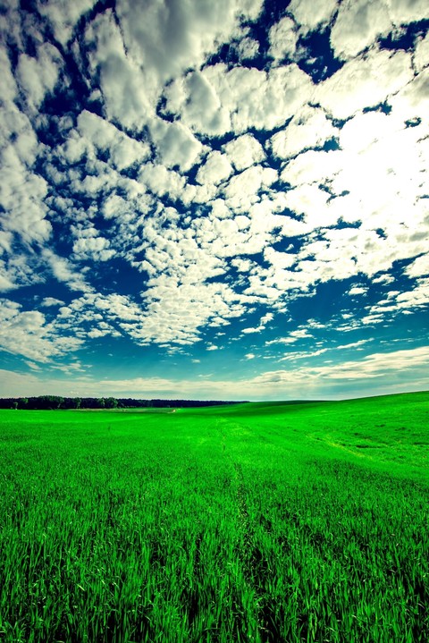 open wind