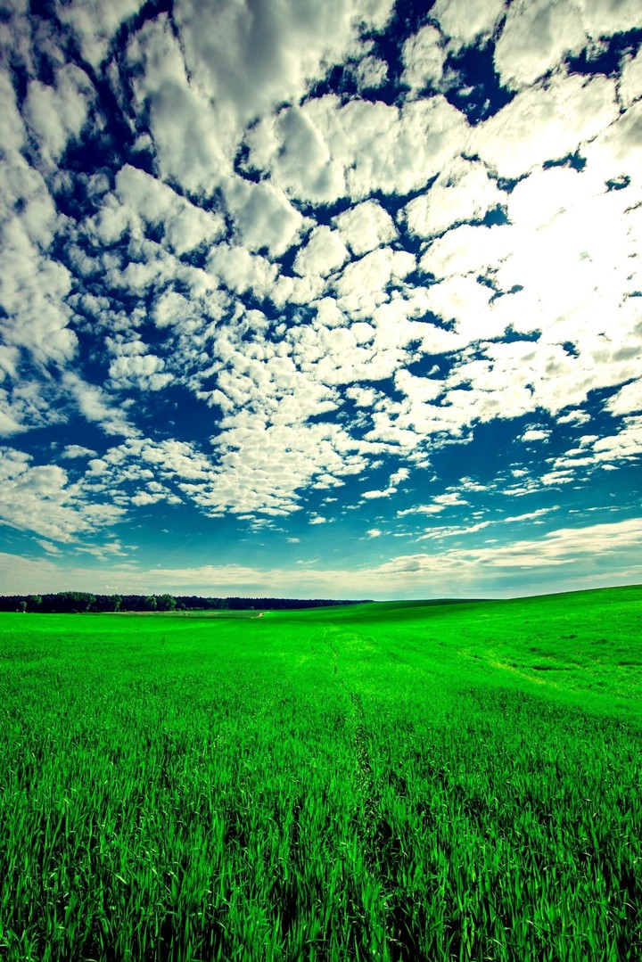 open wind