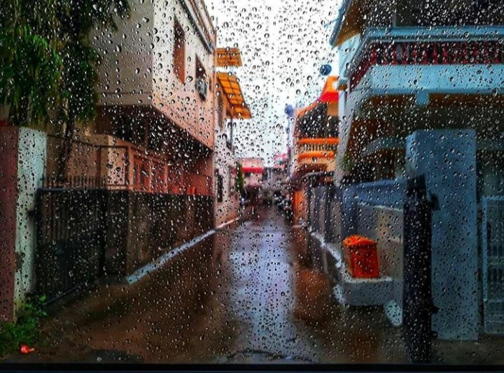 Rain dew drops