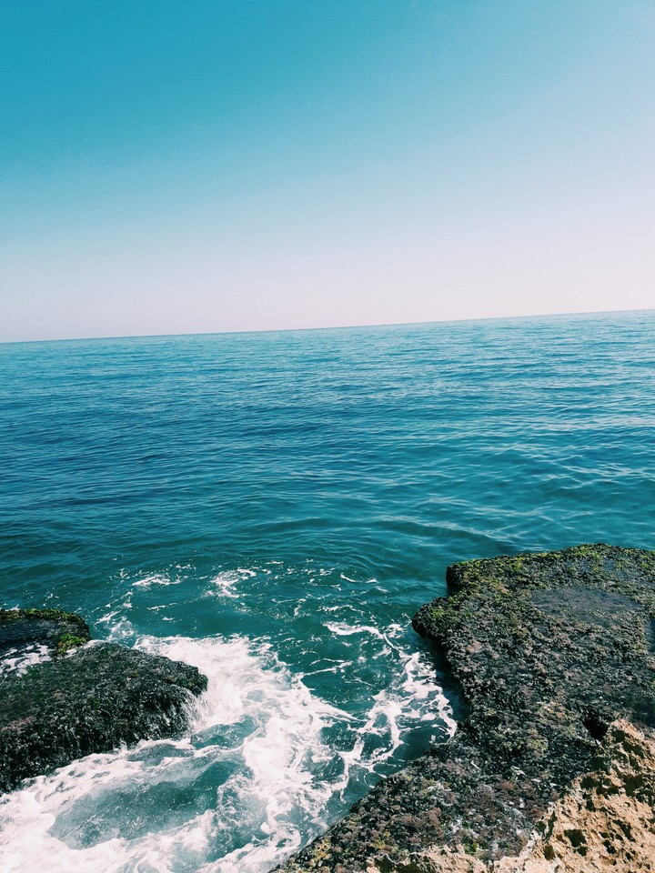 The horizont