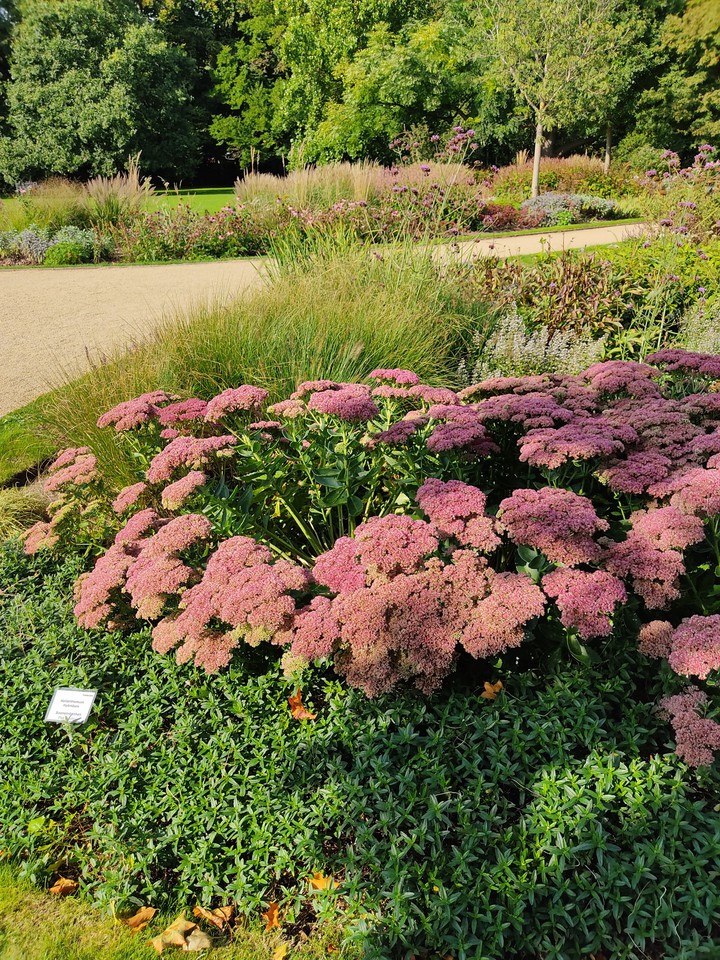 Botanical Garden