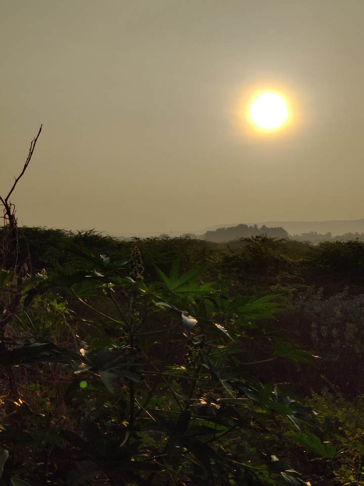 Sunrise