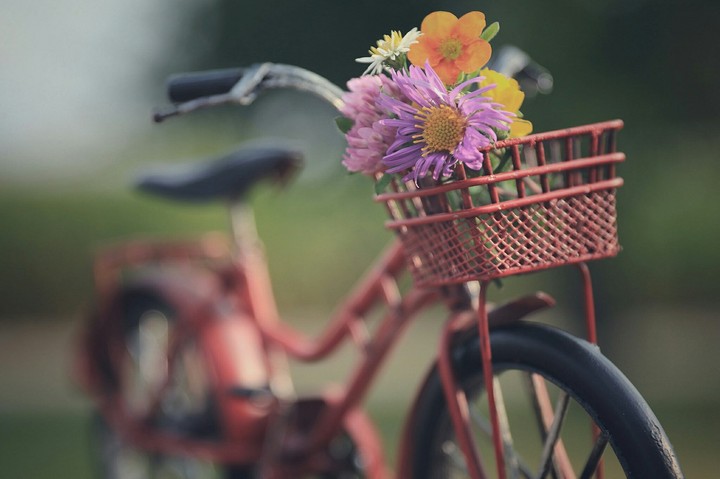 bike&flowers