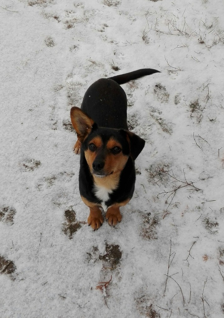 Maja ❤