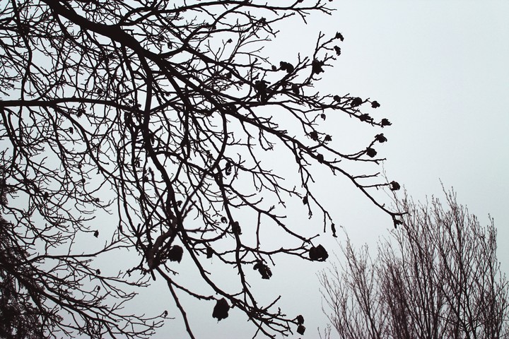 Wintertime