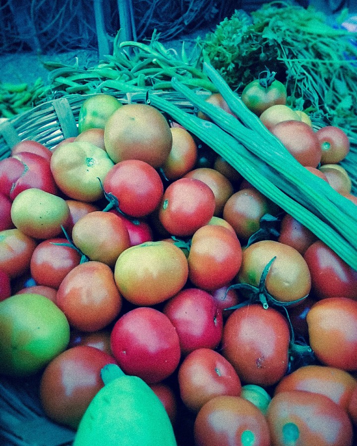 tomatoes