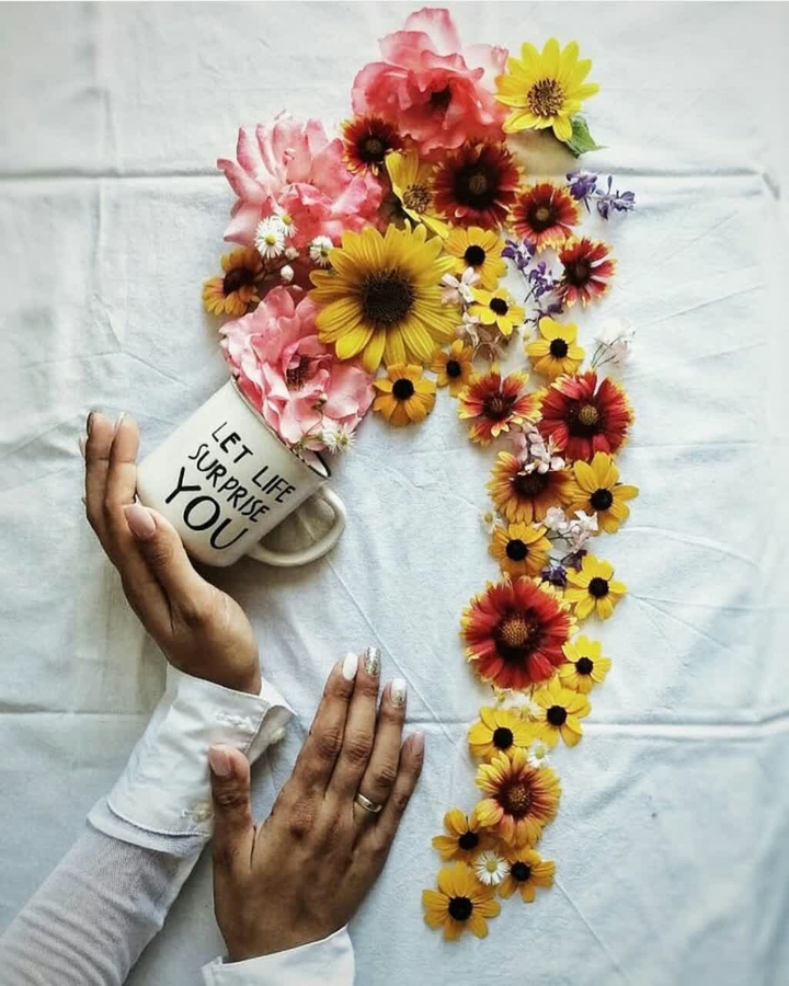 ❤✔❤✔❤