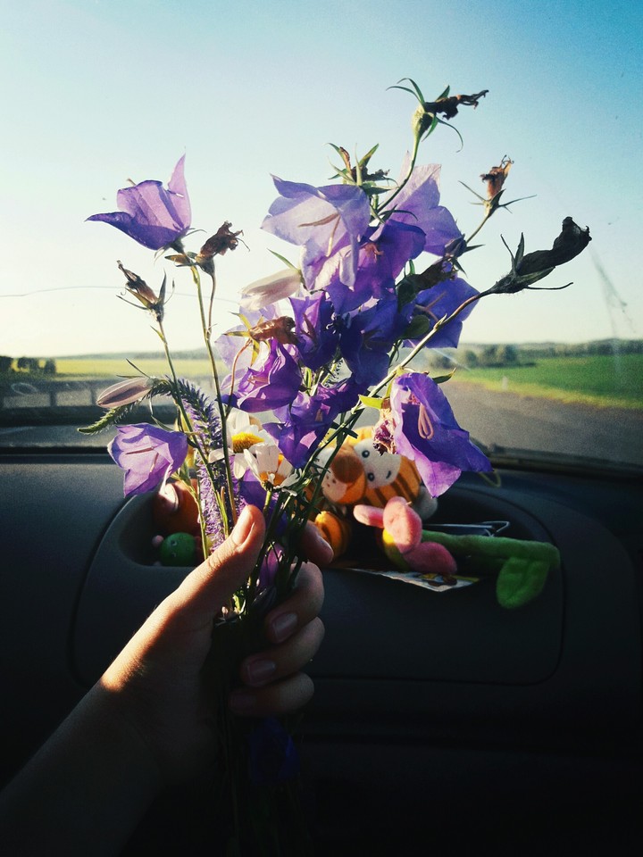 Flowers.