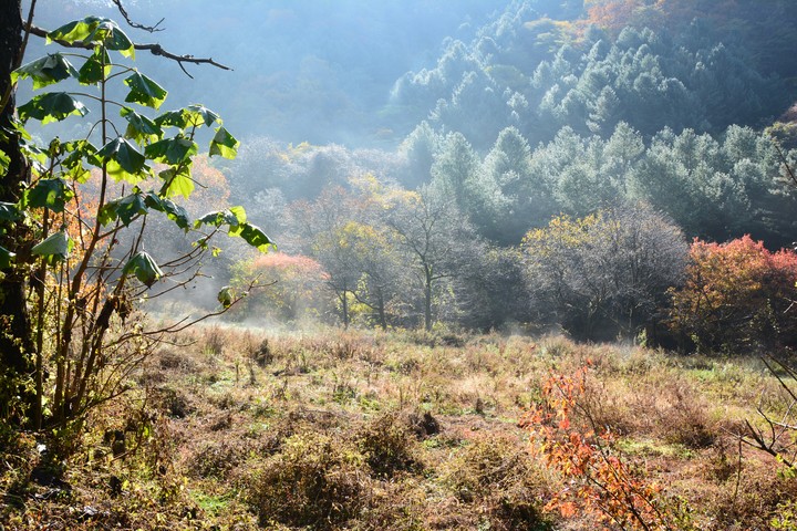 산이미지