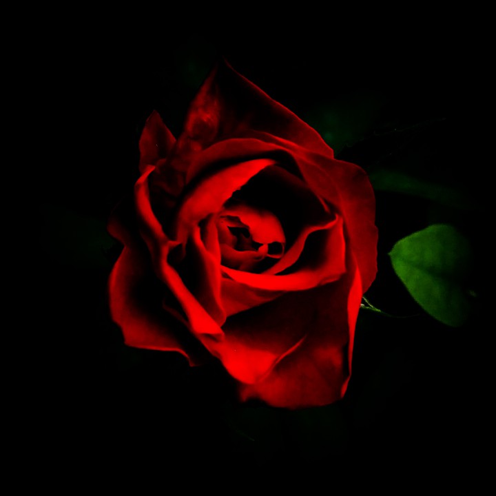 mobile photography