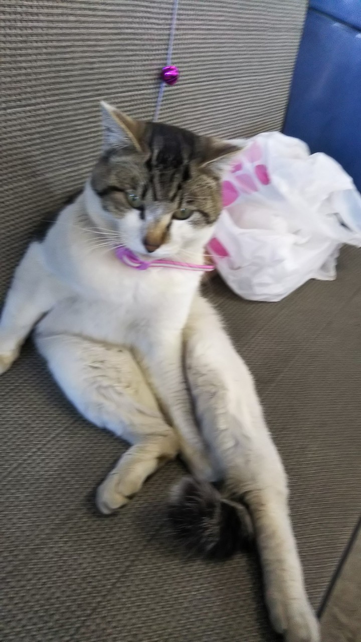 .
