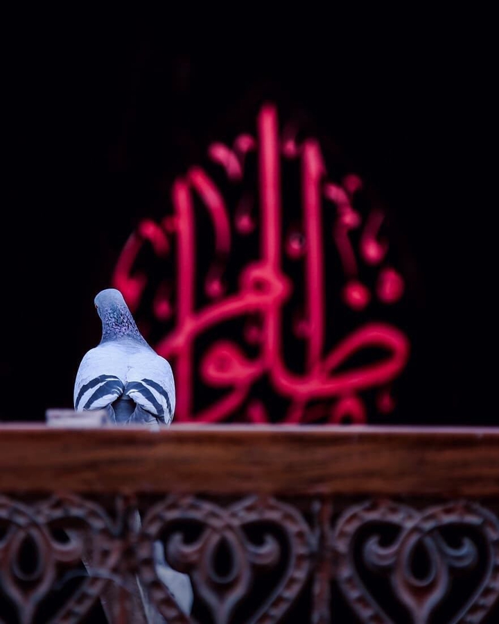﴿اَلسَلام عَلیْ الحُسِین﴾