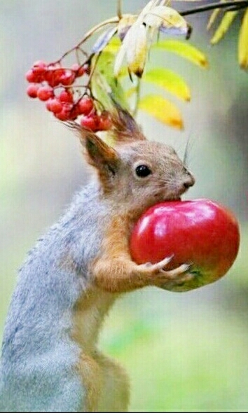 Nature