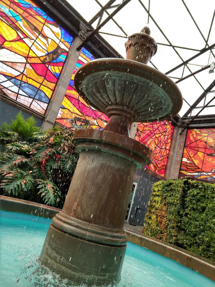 Cosmovitral Water