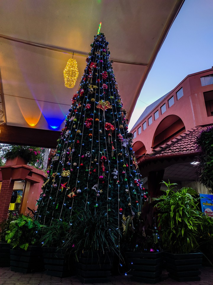 Christmas tree ❤️