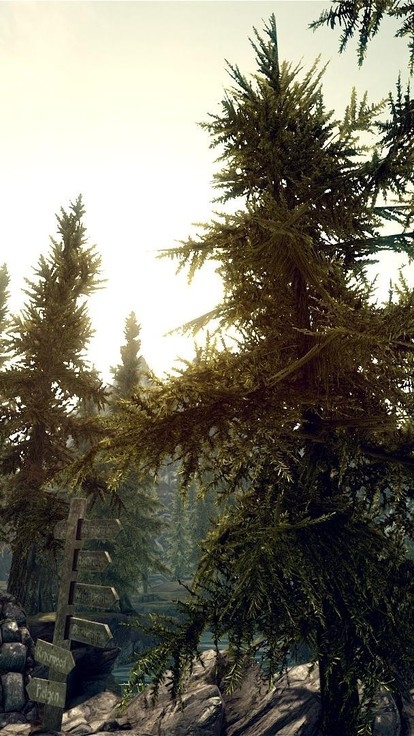 Skyrim