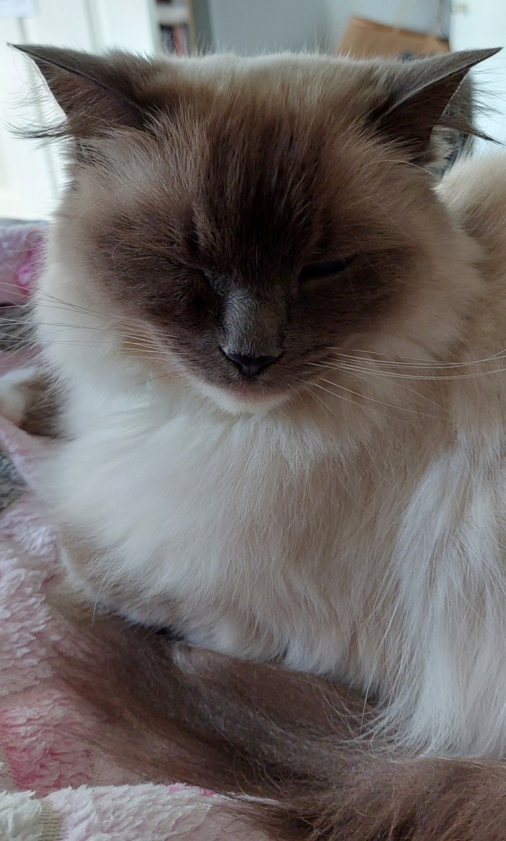 you winking at me?!