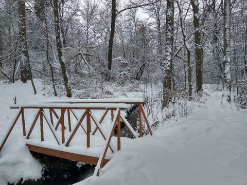 winter bridge