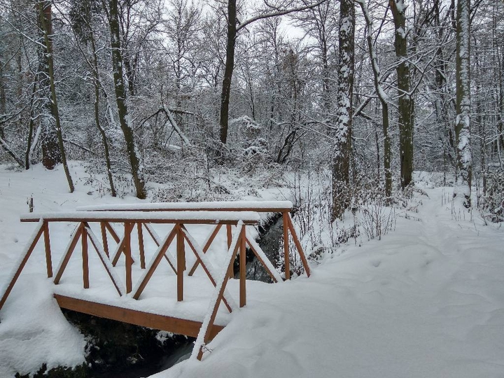 winter bridge