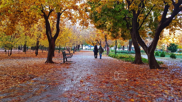 #fall