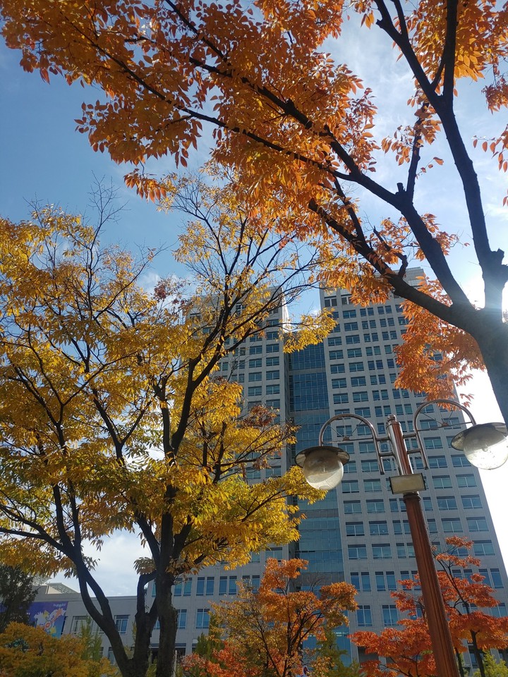 가을