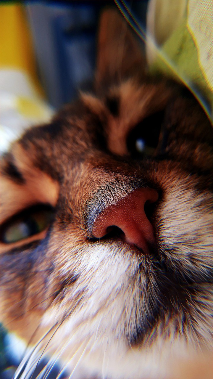 Leonard.