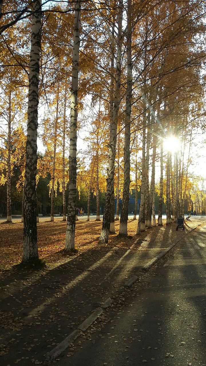 осенние краски