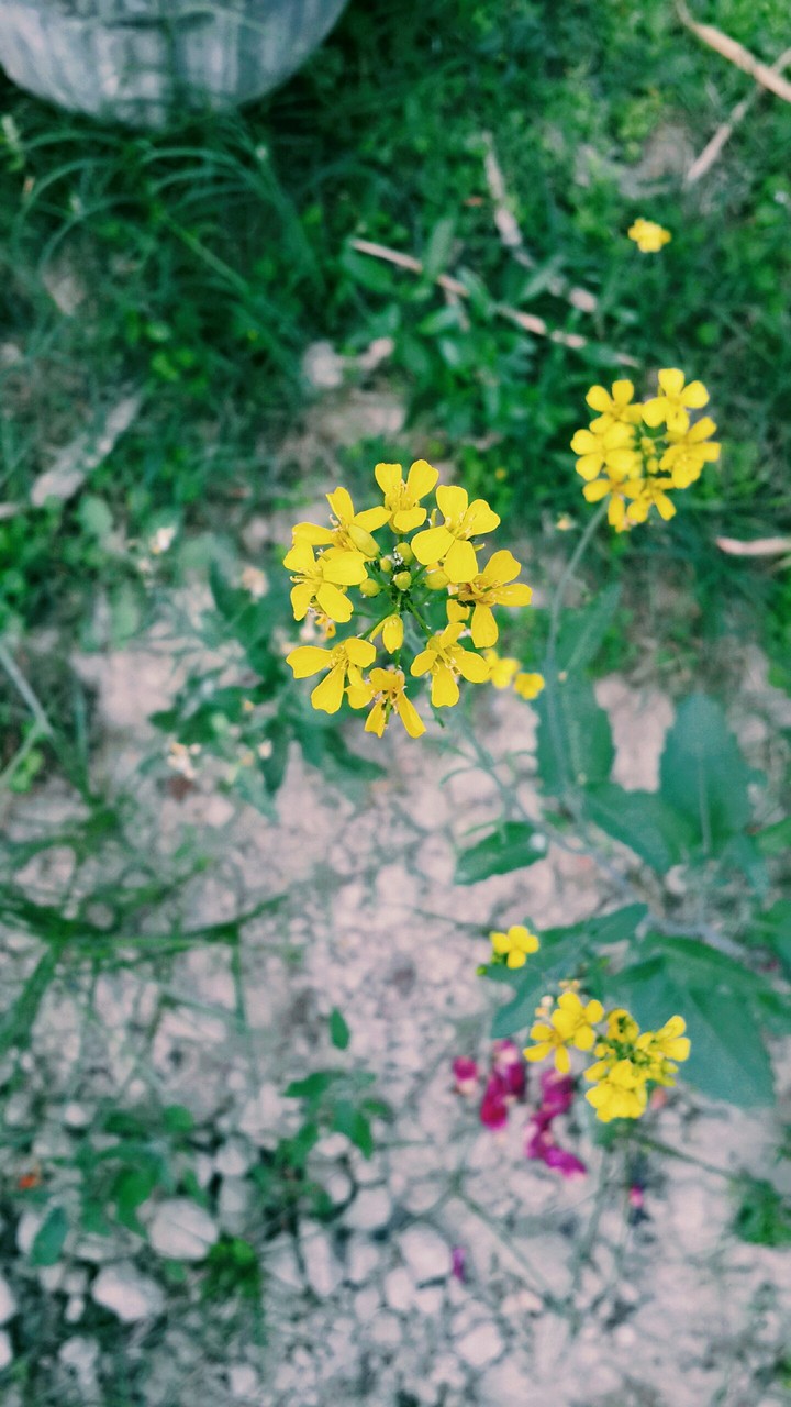 my click