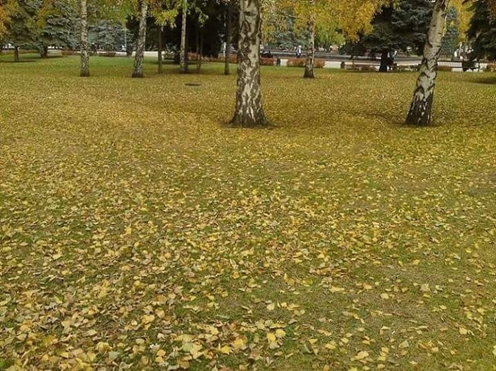 осеннее