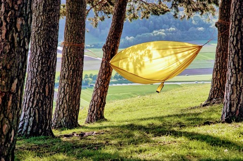 grove, Hammock háttérképek