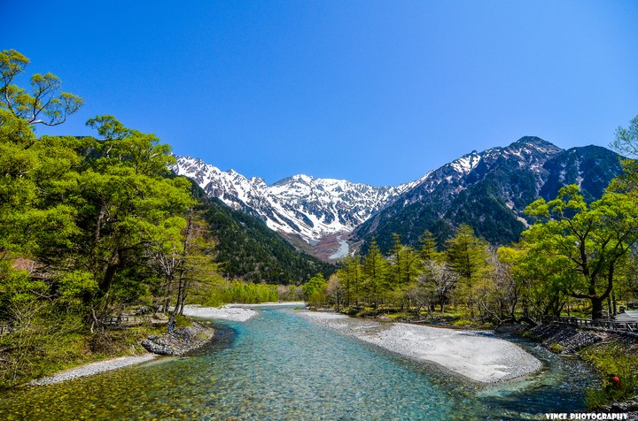 산 , 나무 , 시냇물