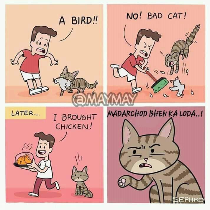 jokes